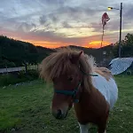Casinha Por Do Sol * Aldeia das Dez