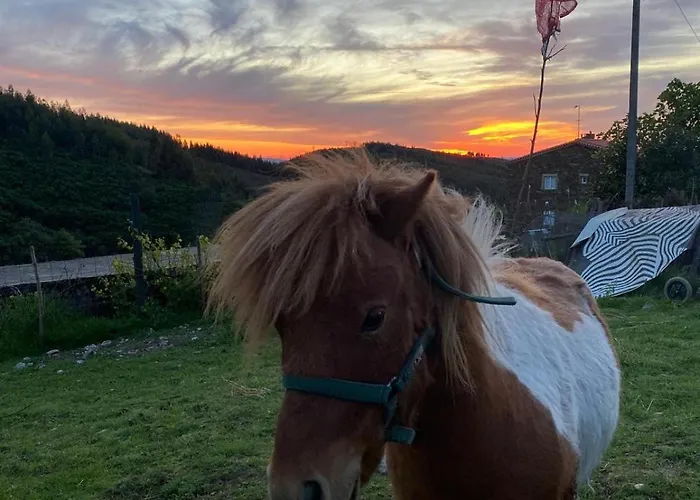 Casinha Pôr Do Sol * Aldeia das Dez